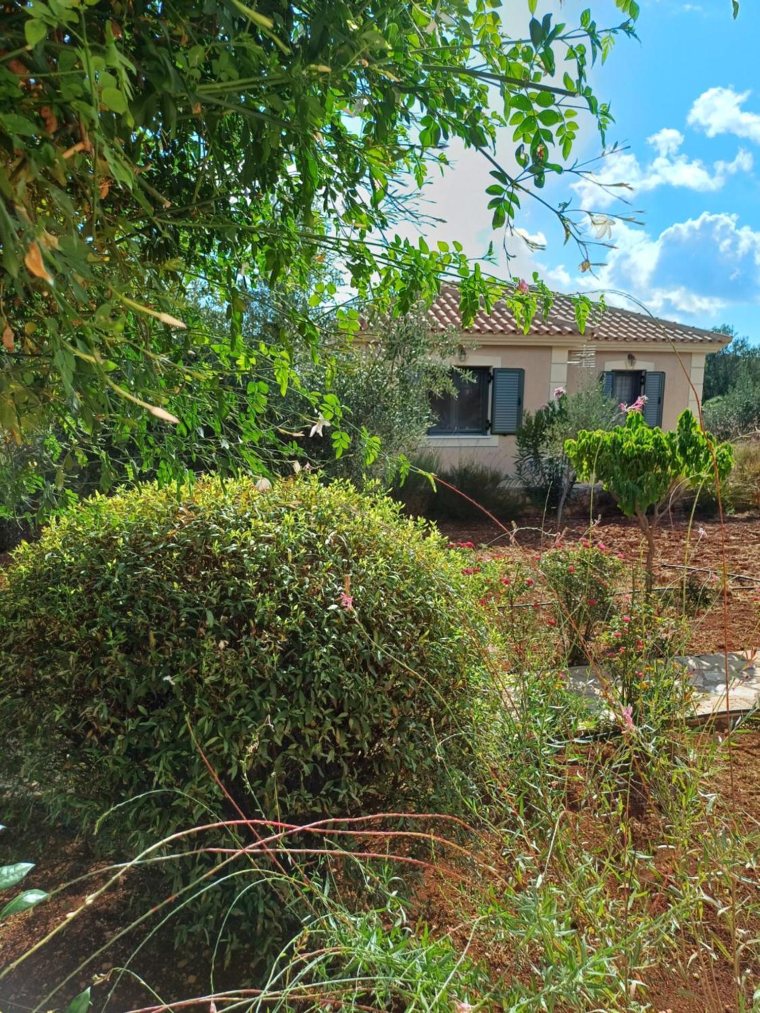 Korallis Villas Karavádhos 객실 사진